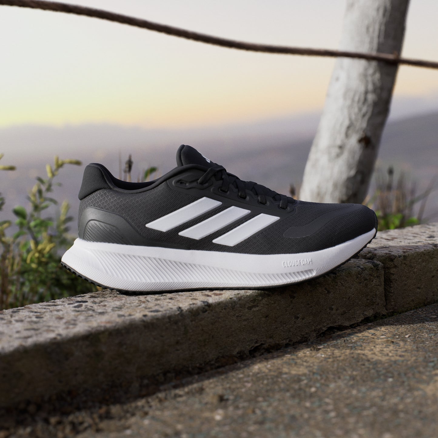 Runfalcon 5 Running Shoes (Black / White)