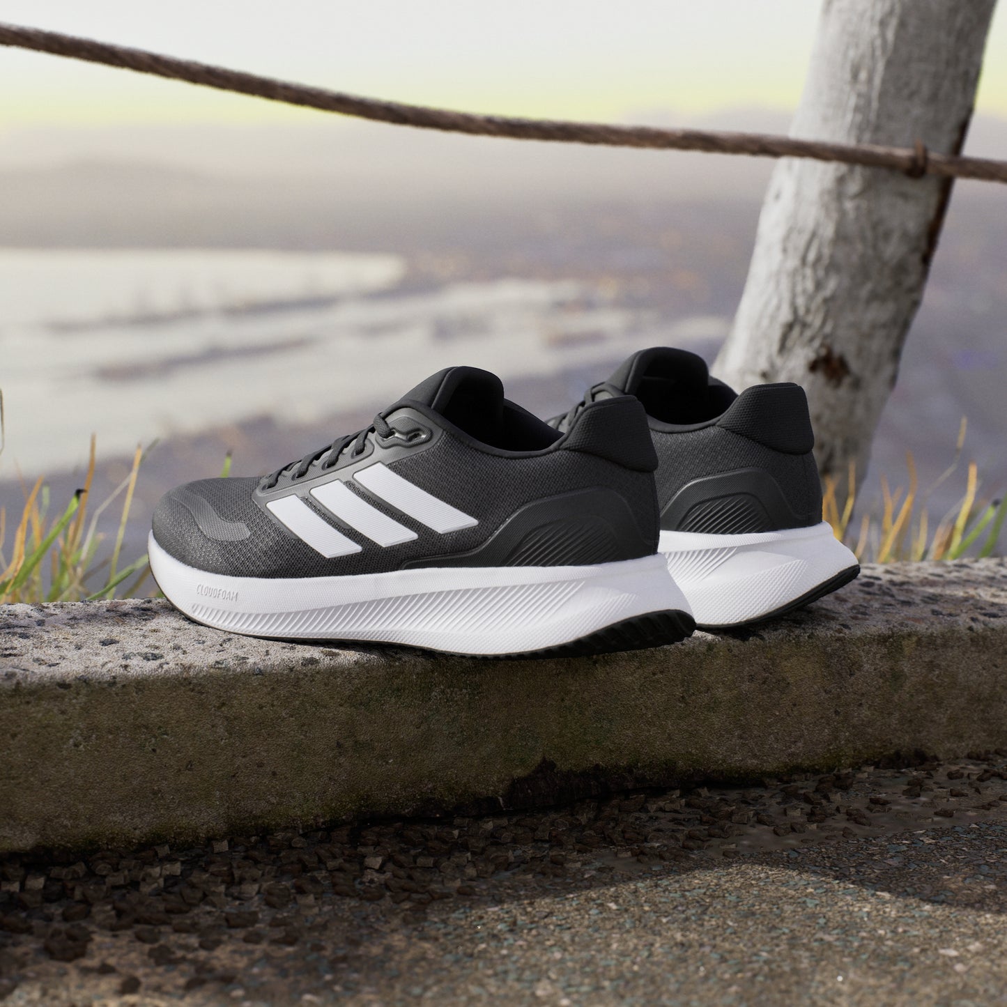 Runfalcon 5 Running Shoes (Black / White)