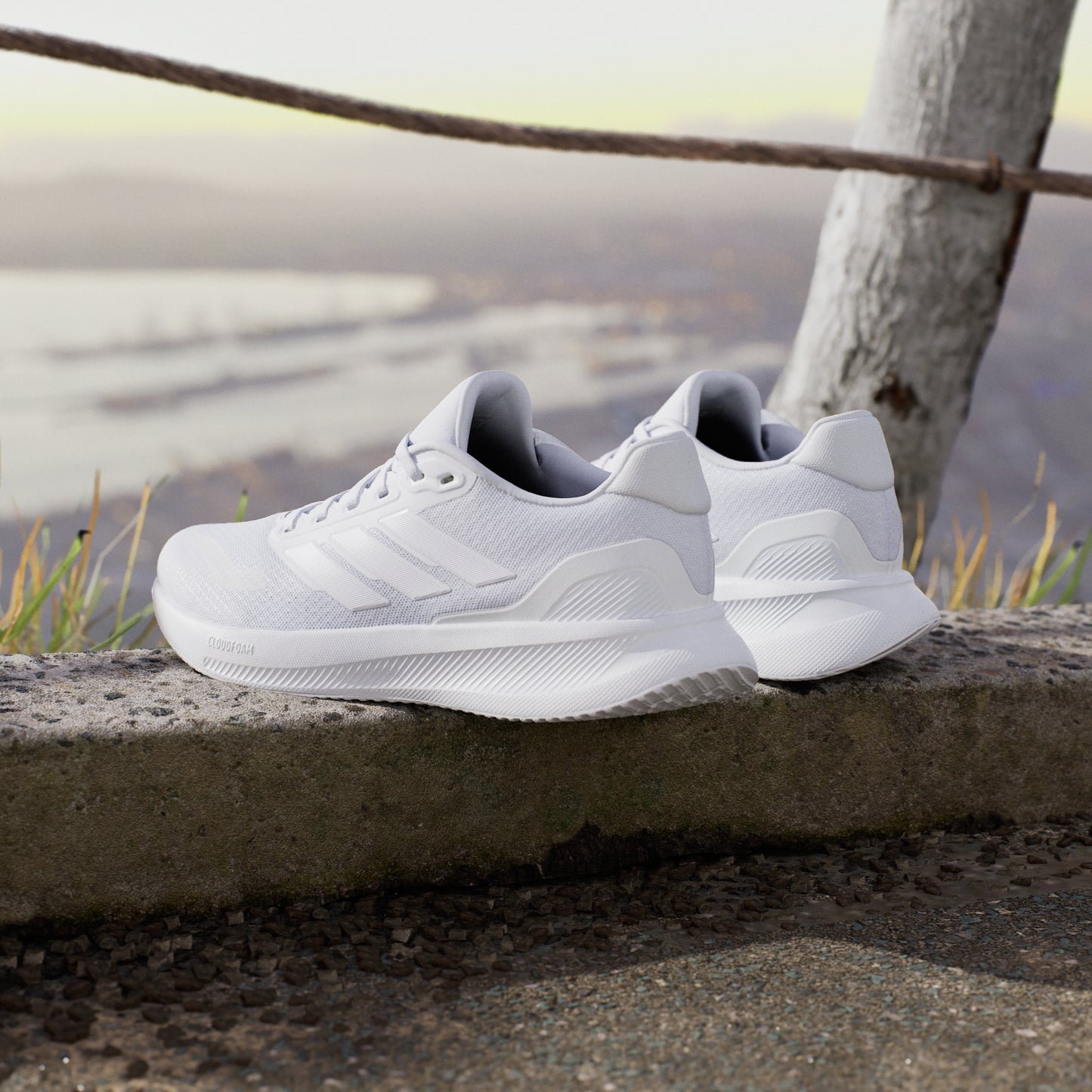 Runfalcon 5 Running Shoes (White)