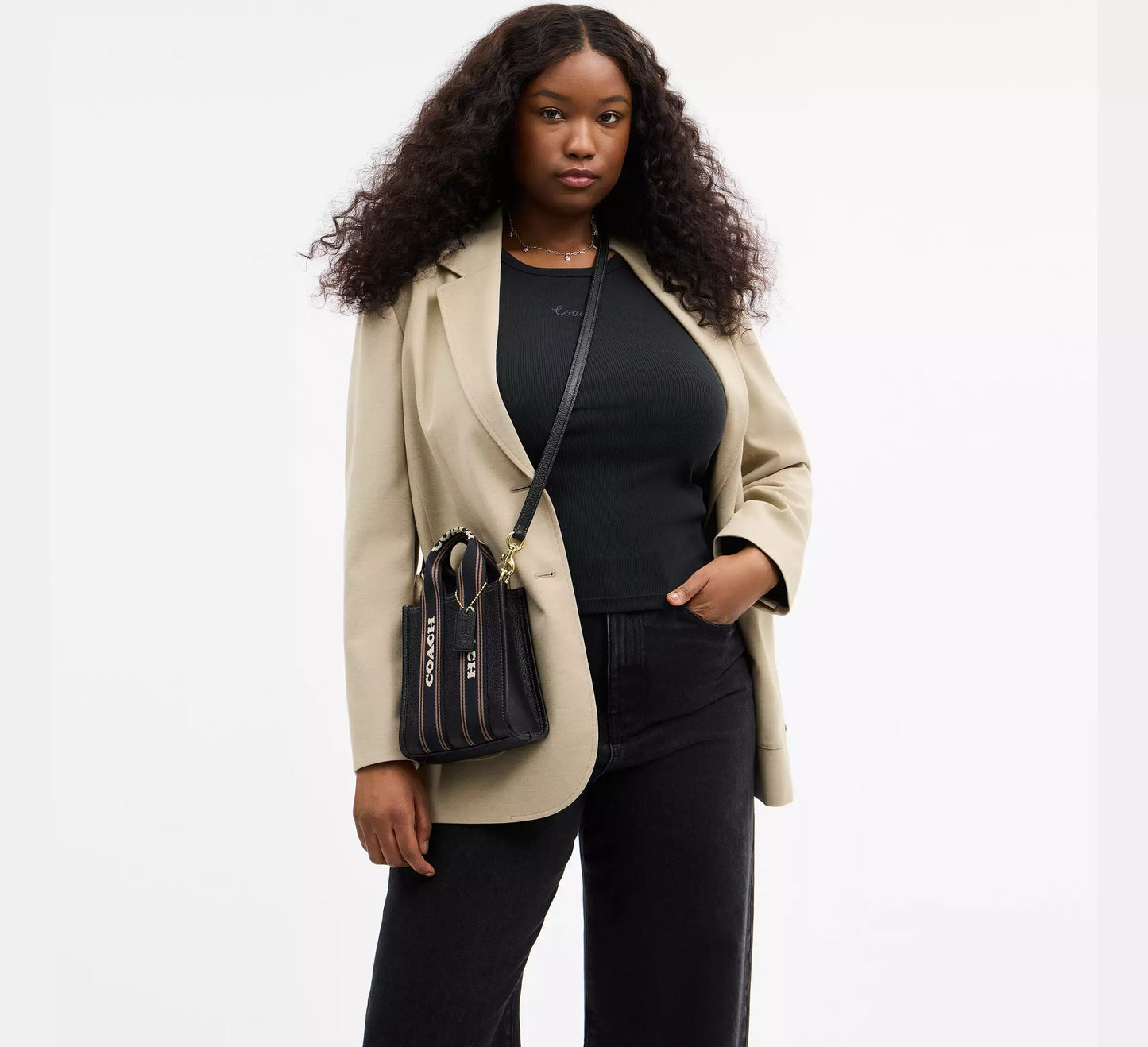 Smith Mini Tote Bag (Black / Gold)