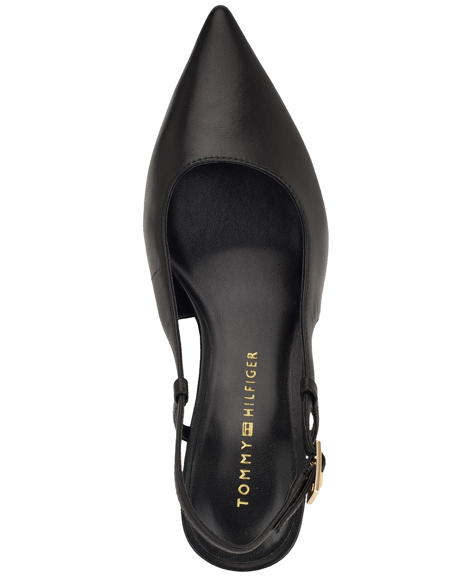 Women's Cerizza Pointed Toe Slingback Pumps
